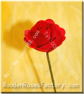 Henry Wooden Cirle Roses